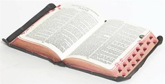 Bible (Small)